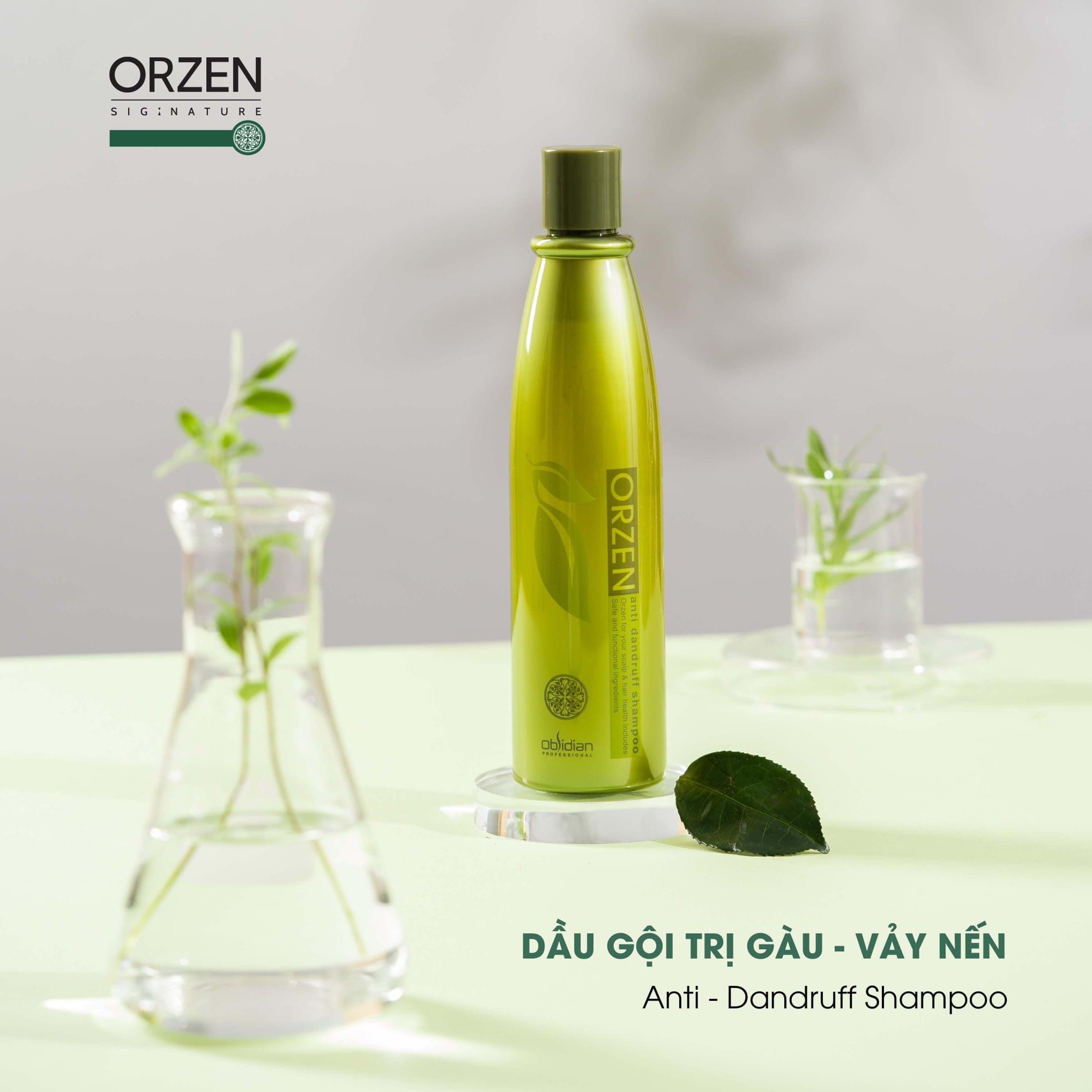 Dầu Gội Orzen Đặc Trị Gàu và Vảy Nến Anti Dandruff 320ml