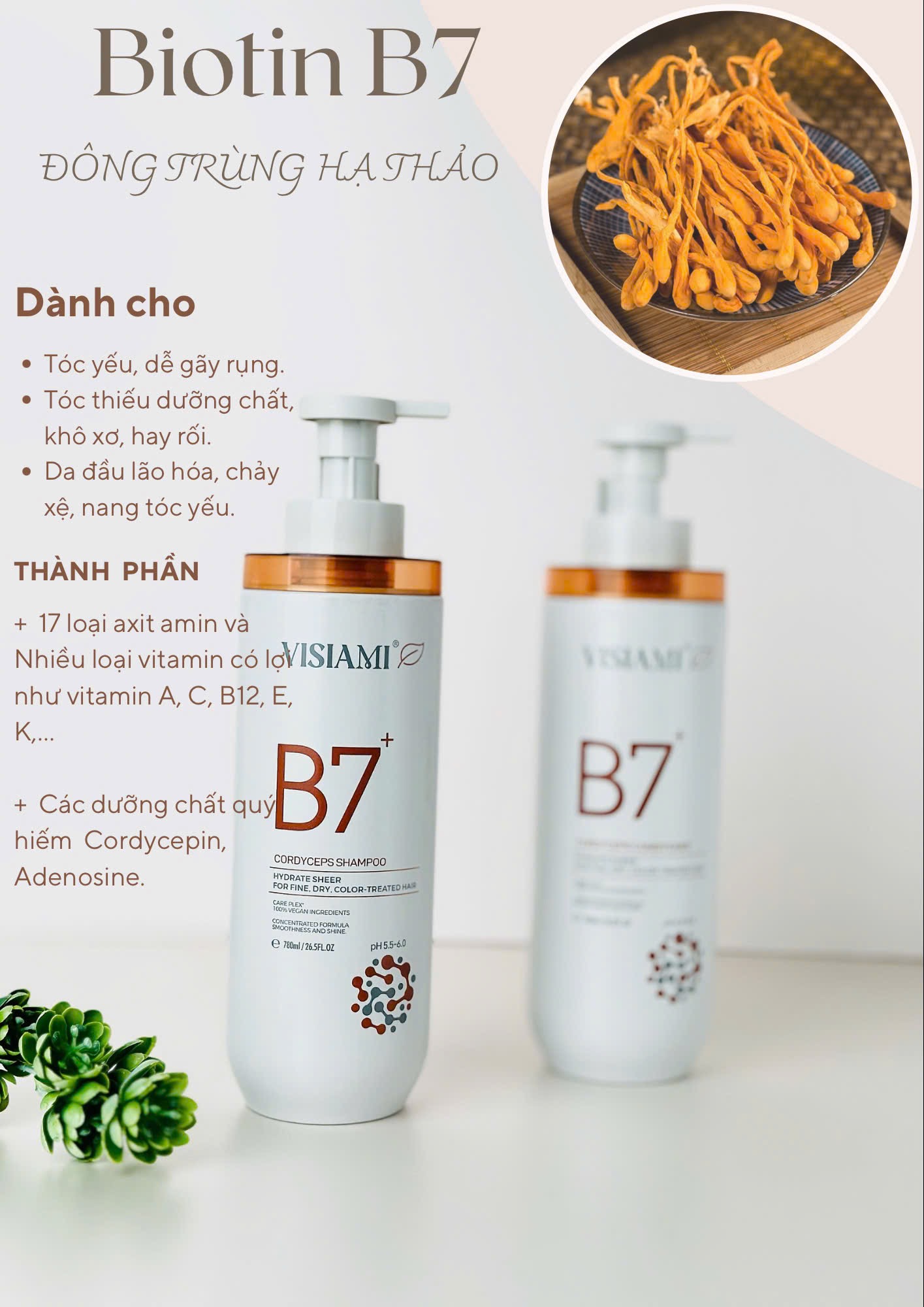 BIOTIN VISIAMI B7 Dầu Gội Xả Thảo Dược Cao Cấp B7 780ML