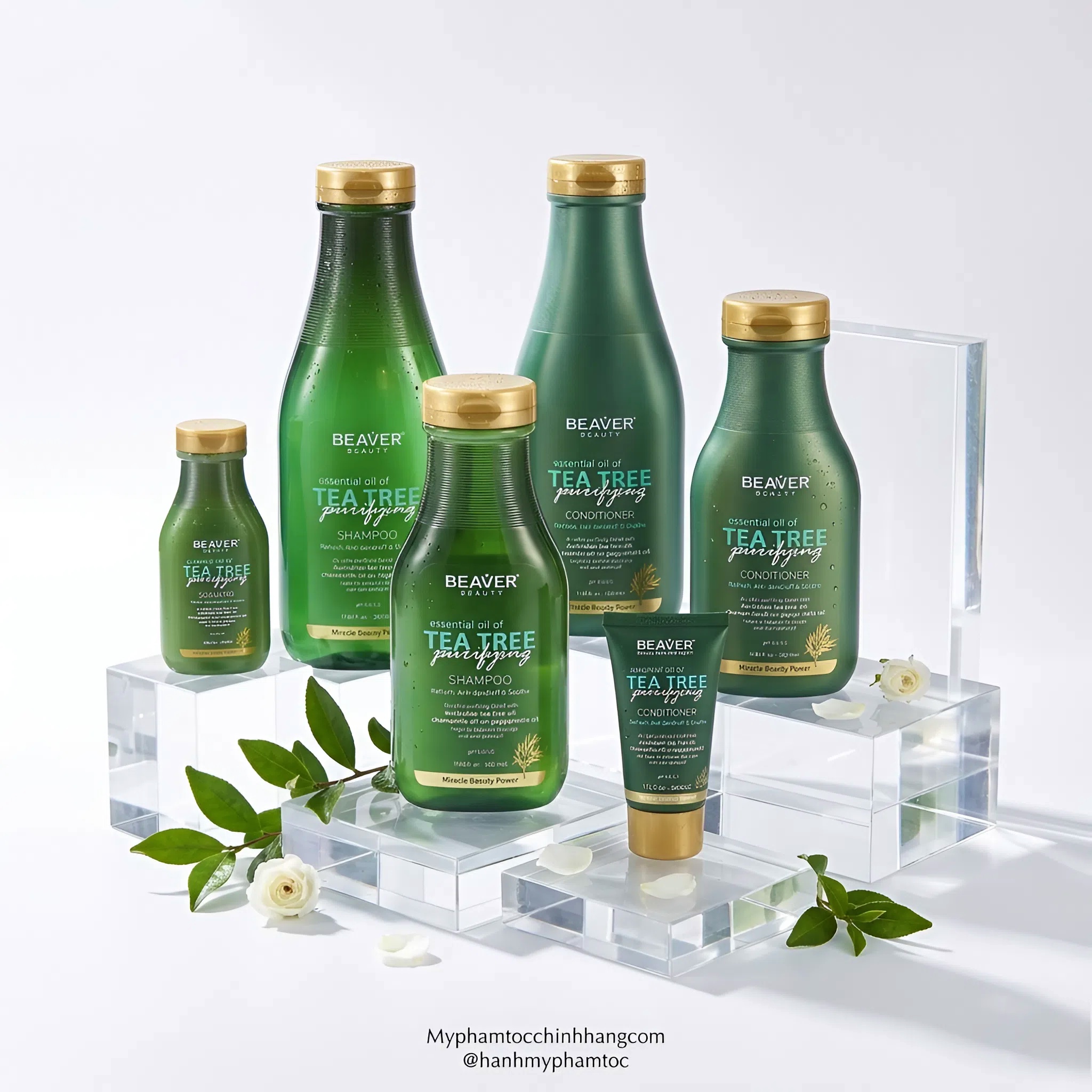 Cặp dầu gội và dầu xả BEAVER Tea Tree Purifying Shampoo & Conditioner