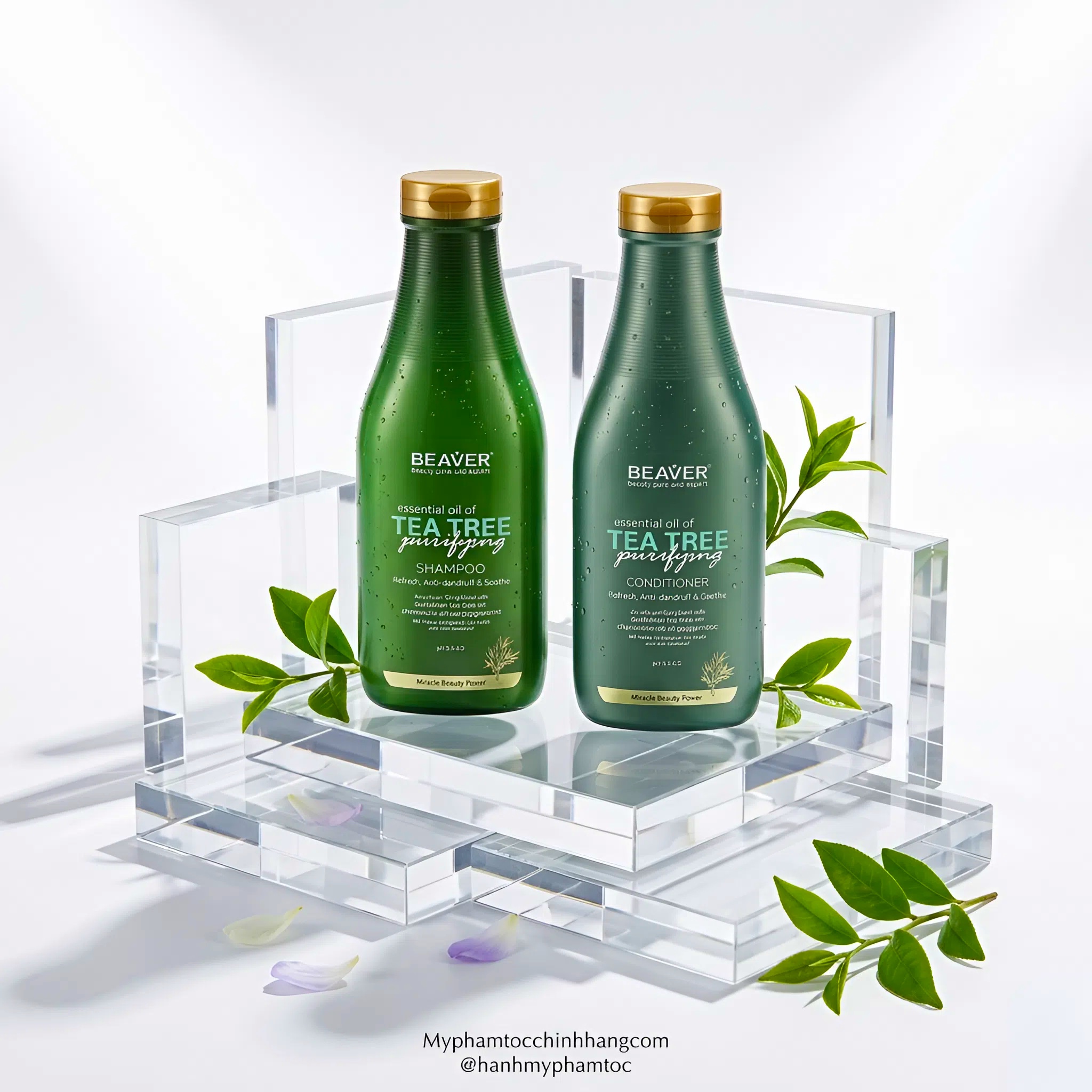 Cặp dầu gội và dầu xả BEAVER Tea Tree Purifying Shampoo & Conditioner