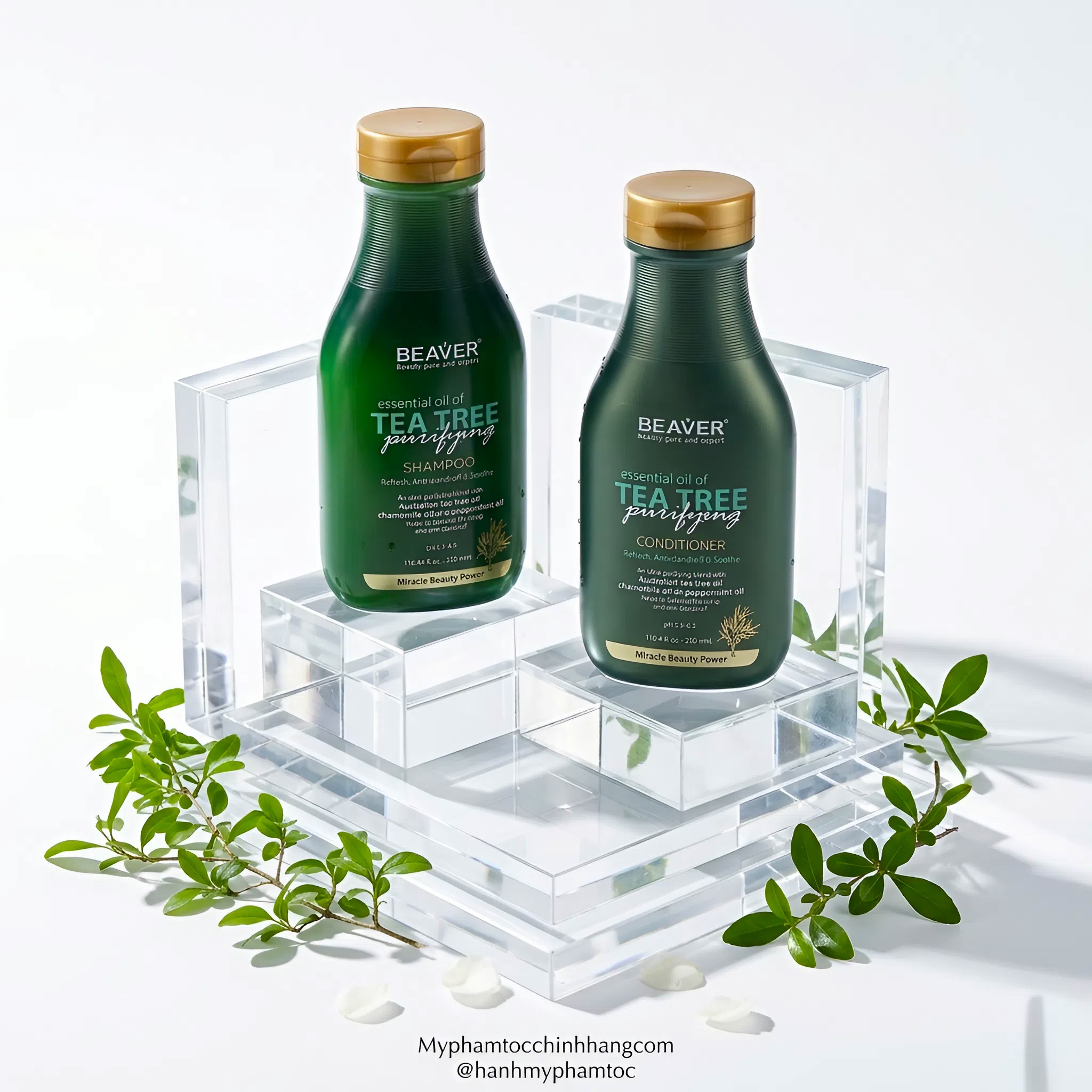 Cặp dầu gội và dầu xả BEAVER Tea Tree Purifying Shampoo & Conditioner