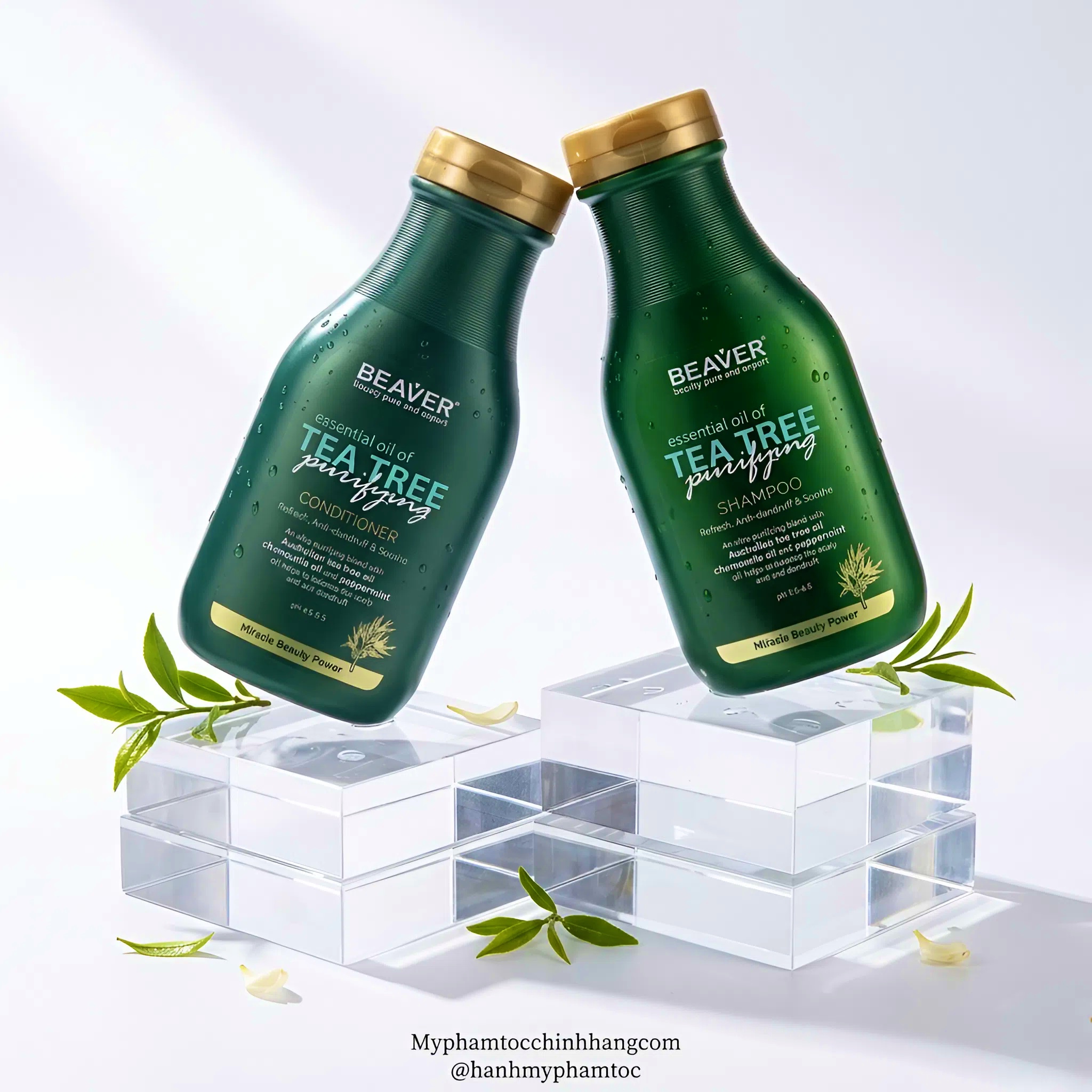 Cặp dầu gội và dầu xả BEAVER Tea Tree Purifying Shampoo & Conditioner
