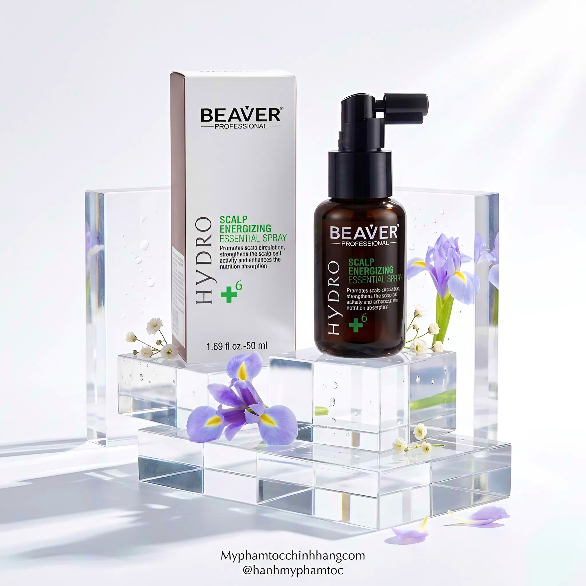 Tinh chất dưỡng da đầu BEAVER +6 chống rụng & kích thích mọc tóc ( BEAVER +6 Hair Growth & Anti-Hair Loss Scalp Tonic) 50ml