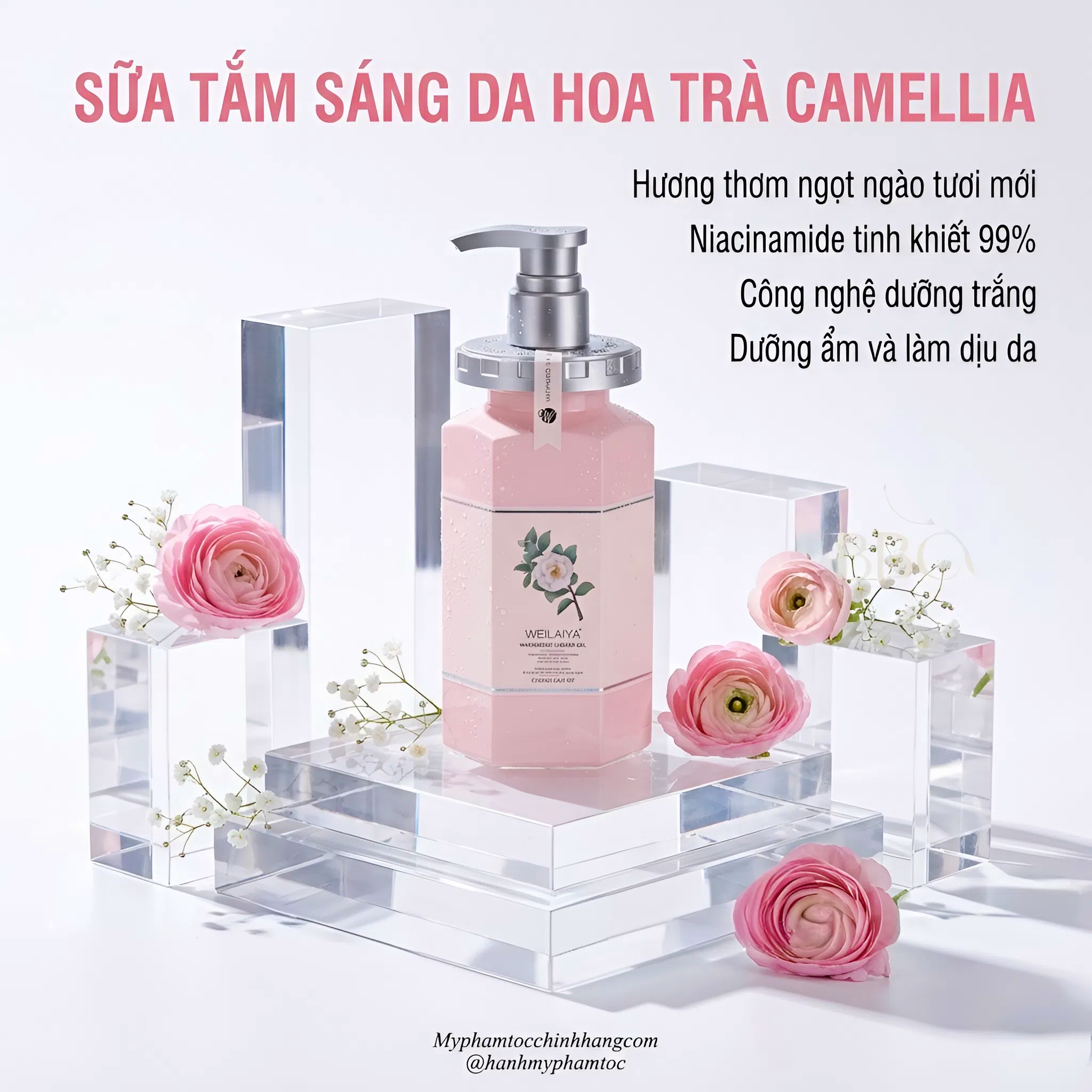 Sữa tắm trắng da hoa trà Weilaiya Camellia Whitening Shower Gel 450ml