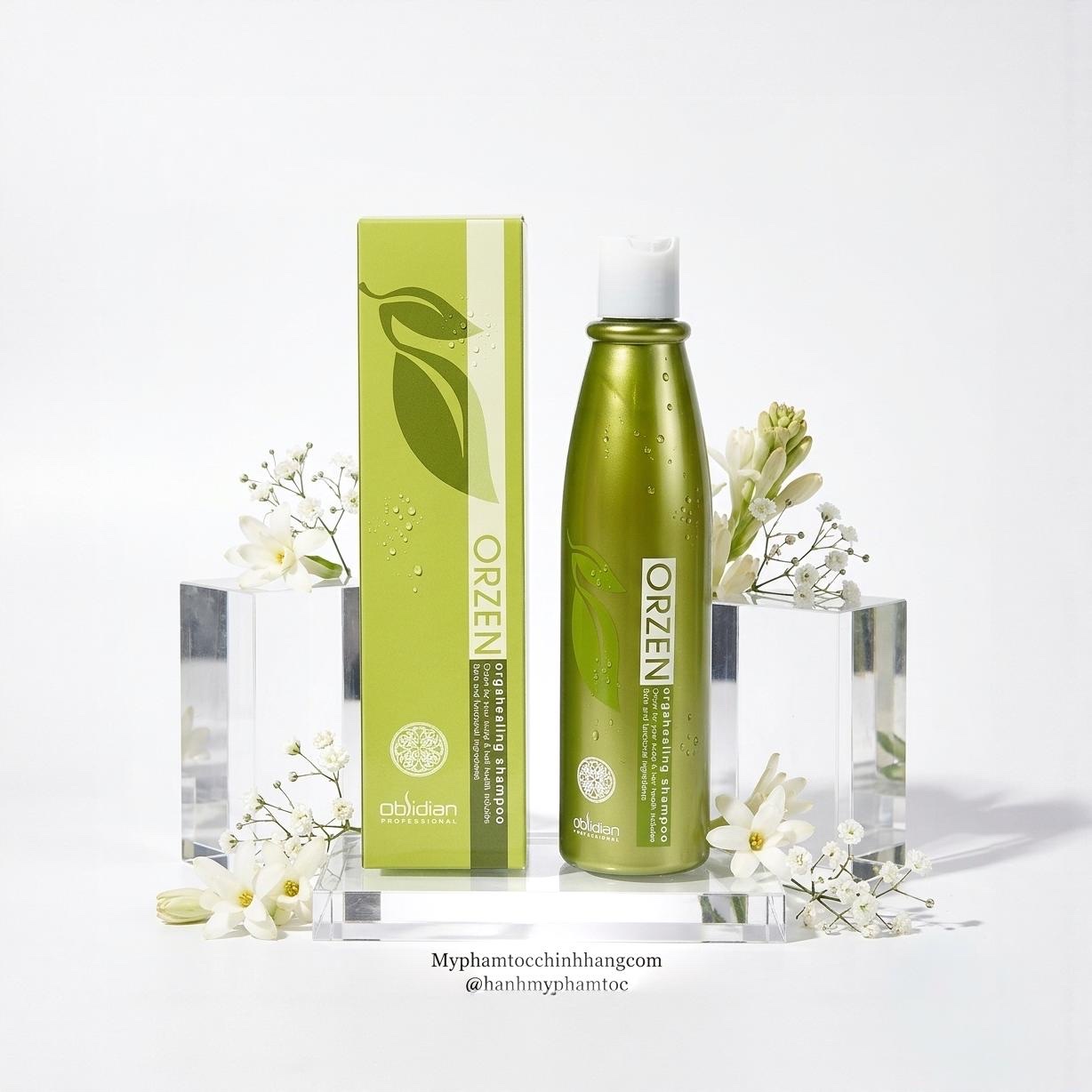 Dầu Gội Chống Rụng Orzen OrgaHealing 320ml