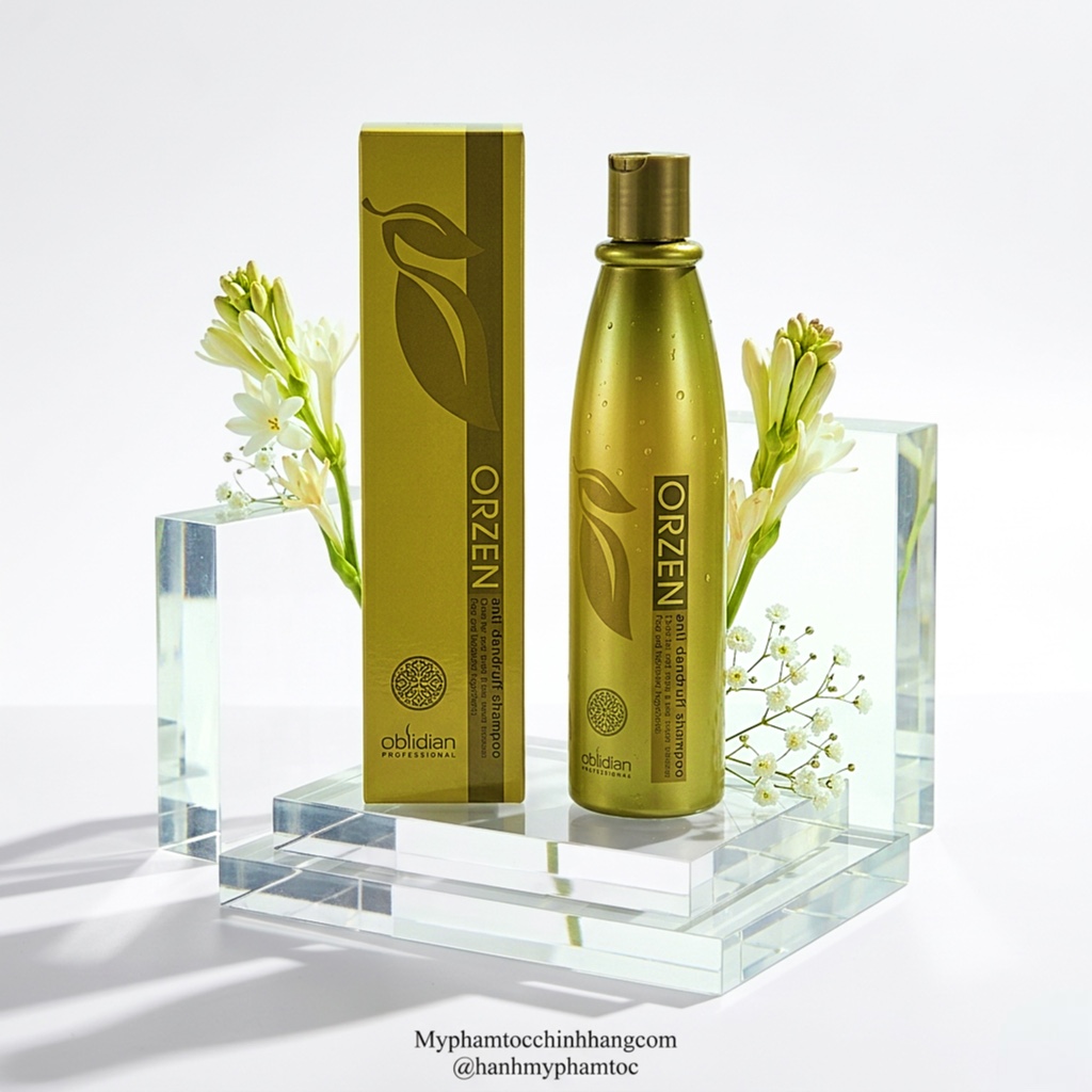 Dầu Gội Orzen Đặc Trị Gàu và Vảy Nến Anti Dandruff 320ml