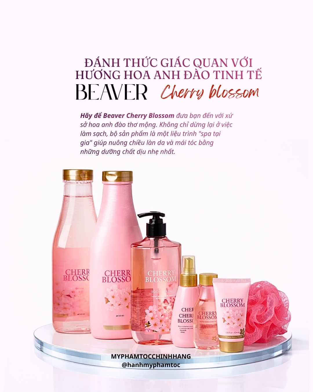 Cặp dầu gội và dầu xả siêu dưỡng tinh chất Beaver Cherry blossom dành cho tóc dầu