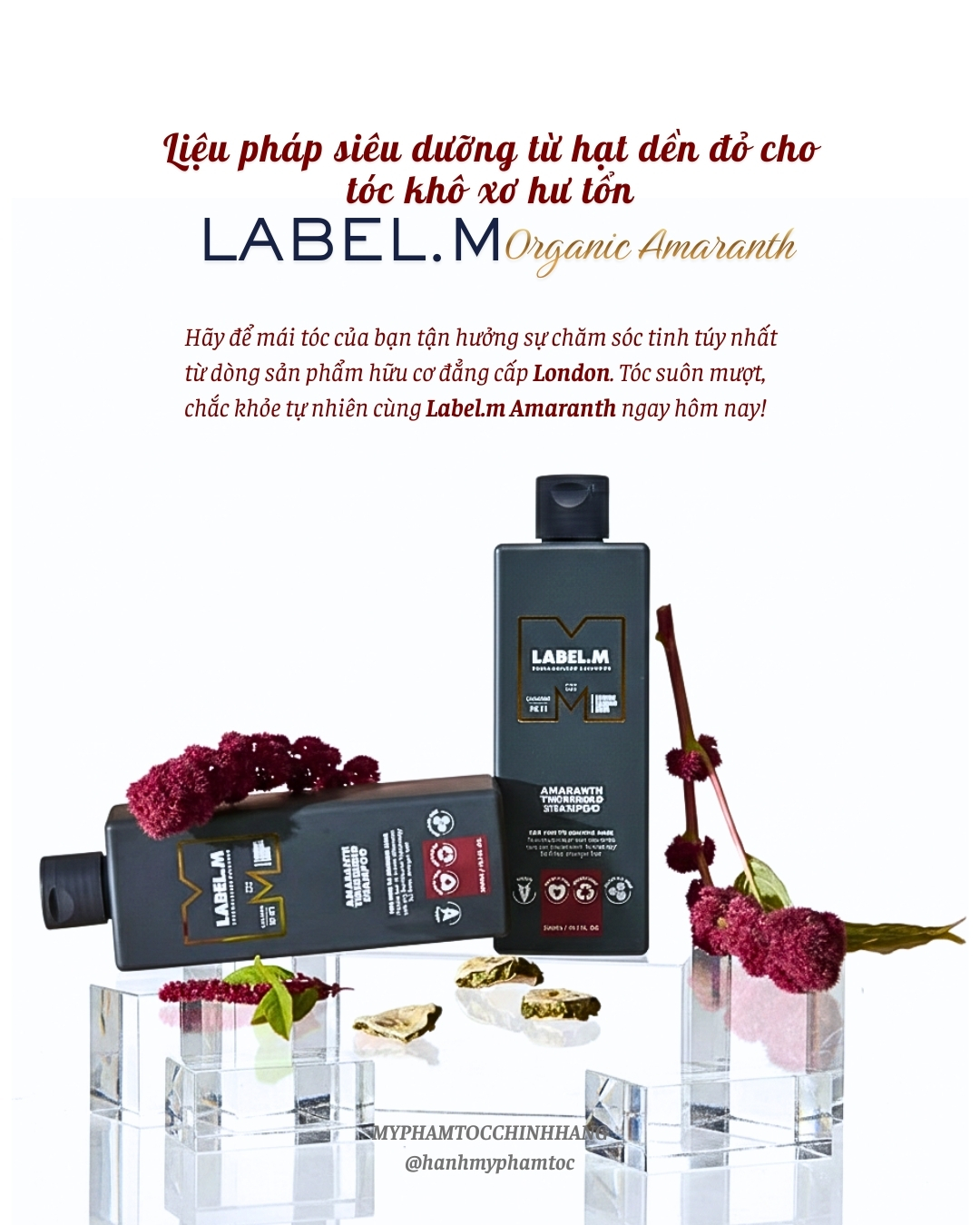 Dầu gội và dầu xả tăng độ dày tóc Label.m Amaranth Thickening Shampoo & Conditioner 300ml 1000ml