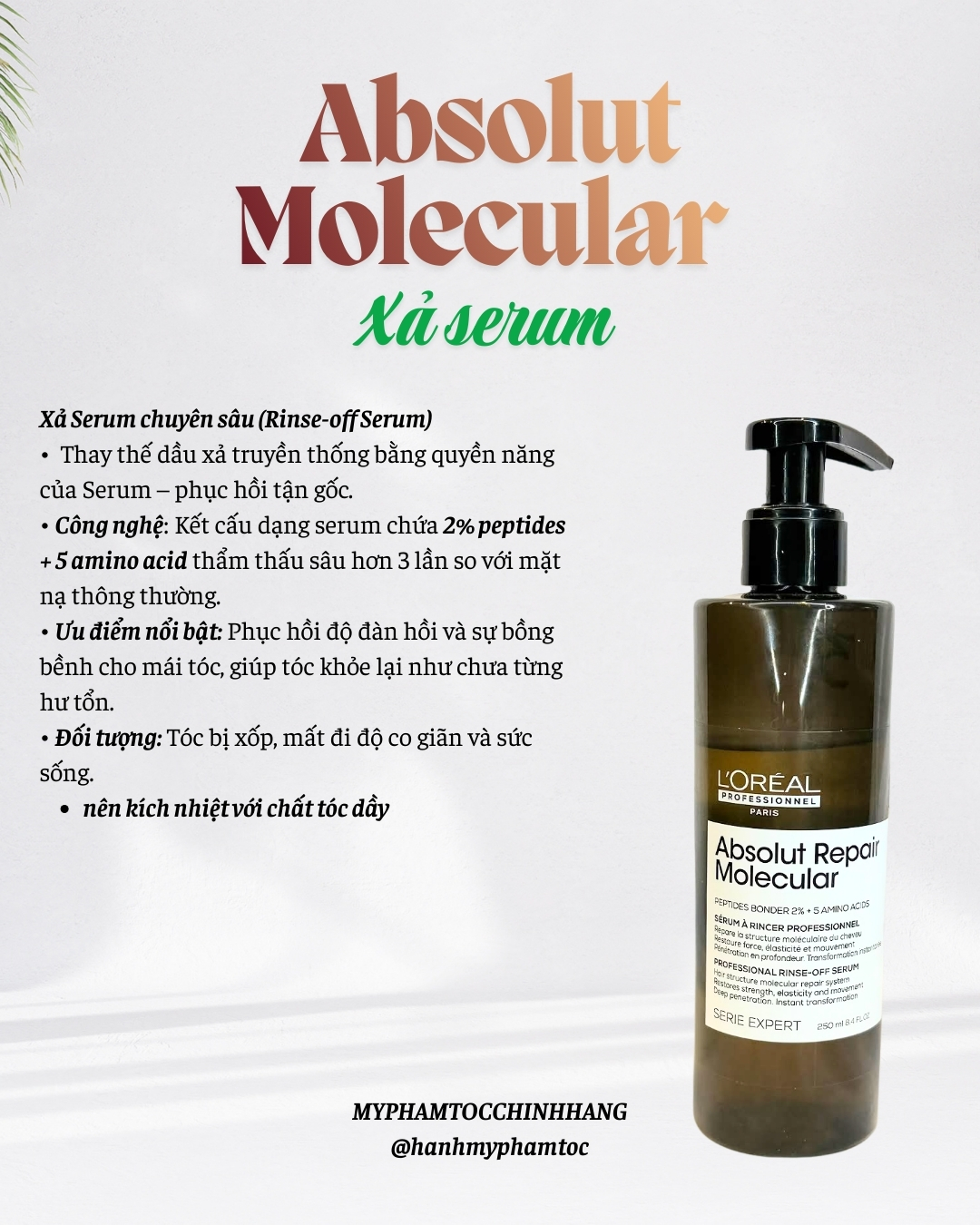 Bộ sản phẩm phục hồi chuyên sâu L'Oréal Professionnel Absolut Repair Molecular