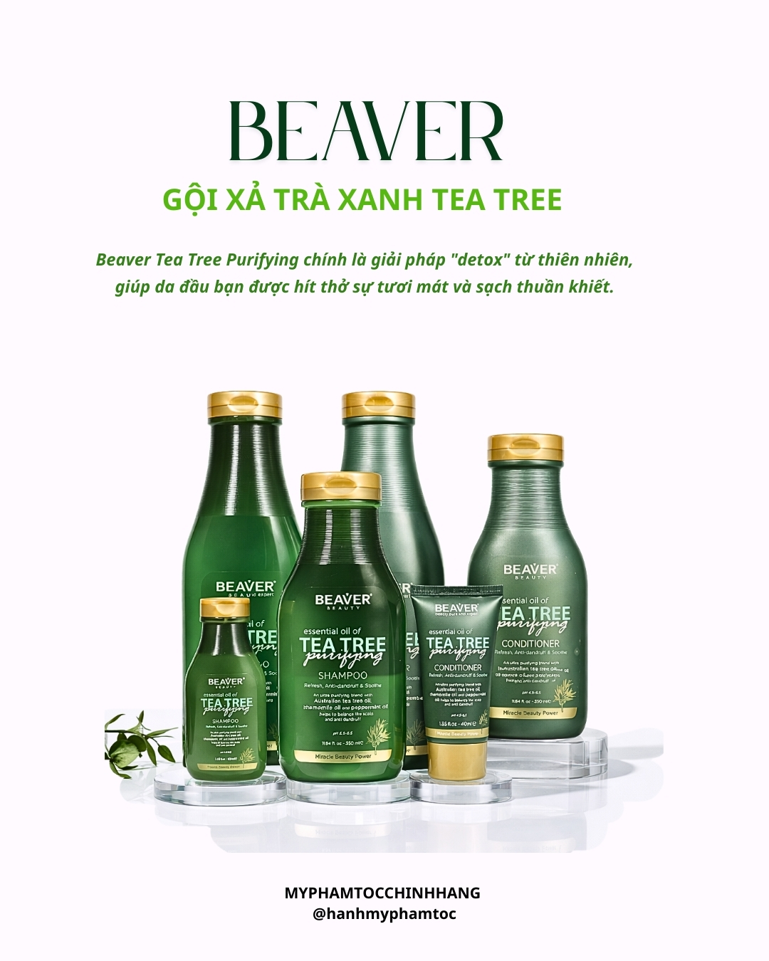Cặp dầu gội và dầu xả BEAVER Tea Tree Purifying Shampoo & Conditioner