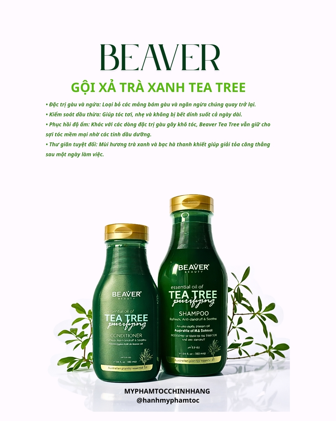 Cặp dầu gội và dầu xả BEAVER Tea Tree Purifying Shampoo & Conditioner