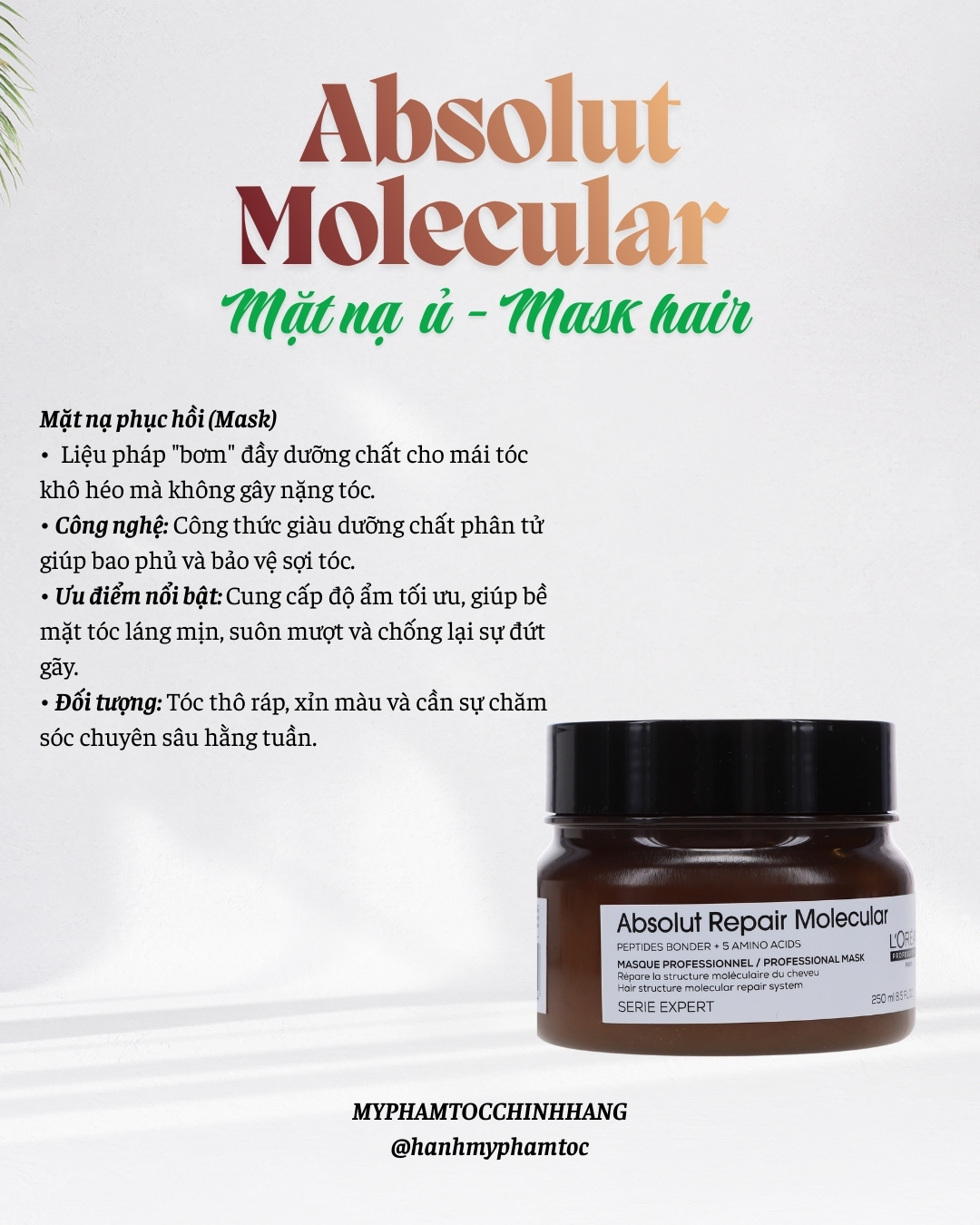 Bộ sản phẩm phục hồi chuyên sâu L'Oréal Professionnel Absolut Repair Molecular