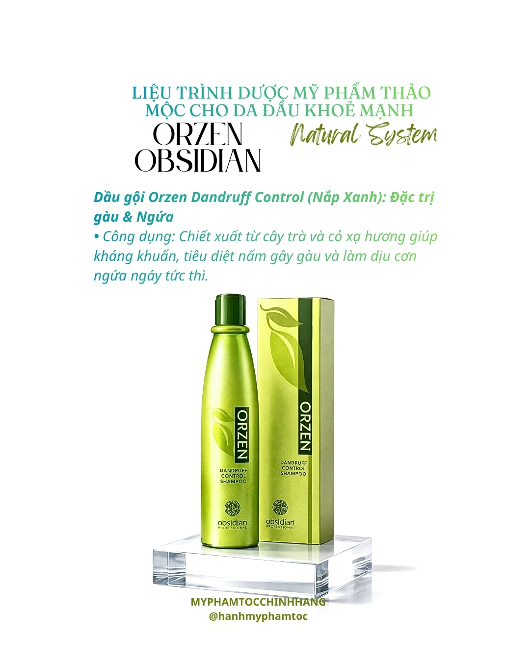 Dầu Gội Orzen Đặc Trị Gàu và Vảy Nến Anti Dandruff 320ml