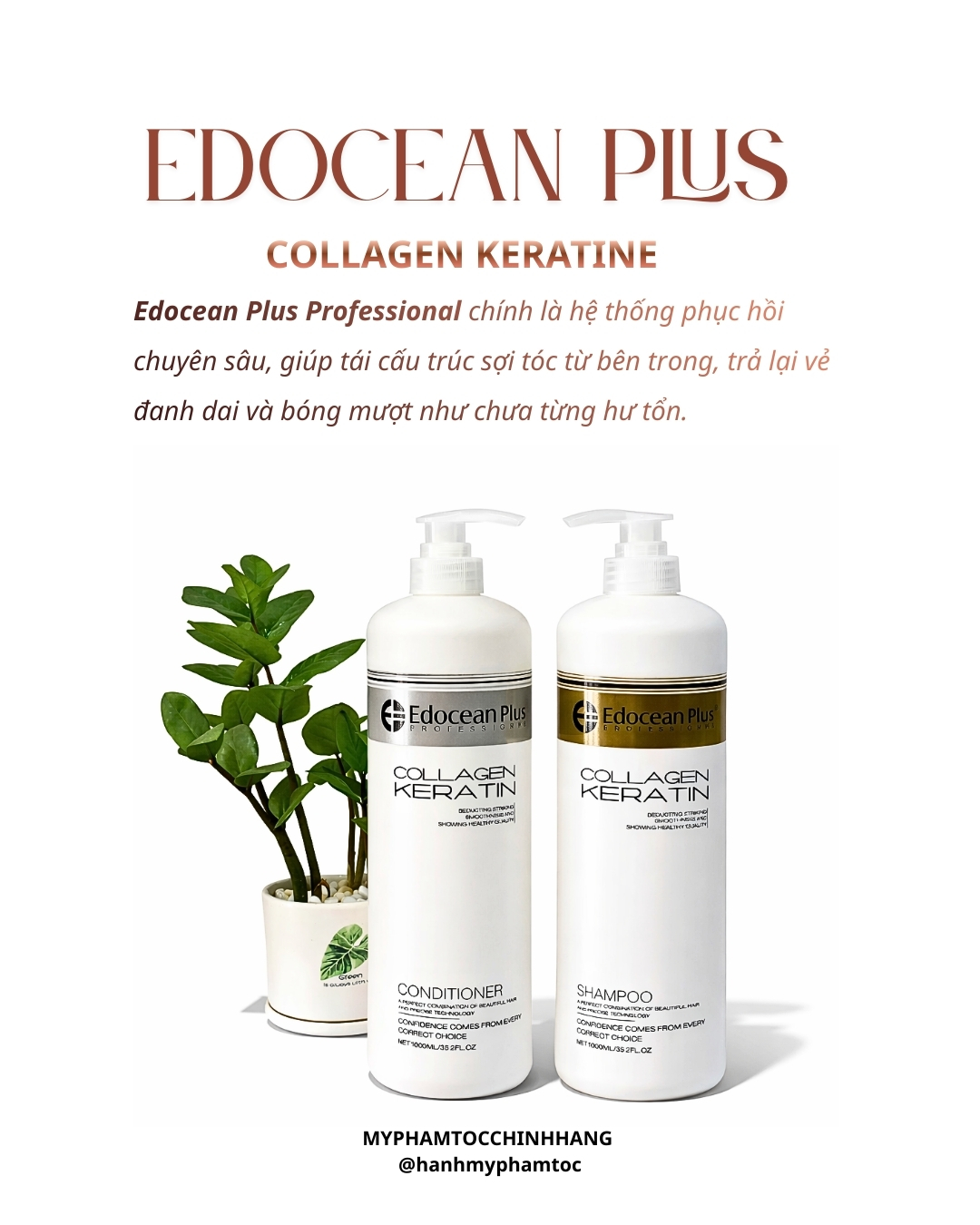 Sale lỗ dầu xả Edocean Collagen Keratin Plus 500ml