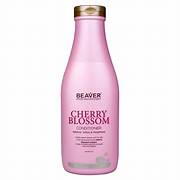 Cặp dầu gội và dầu xả siêu dưỡng tinh chất Beaver Cherry blossom dành cho tóc dầu