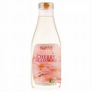 Cặp dầu gội và dầu xả siêu dưỡng tinh chất Beaver Cherry blossom dành cho tóc dầu