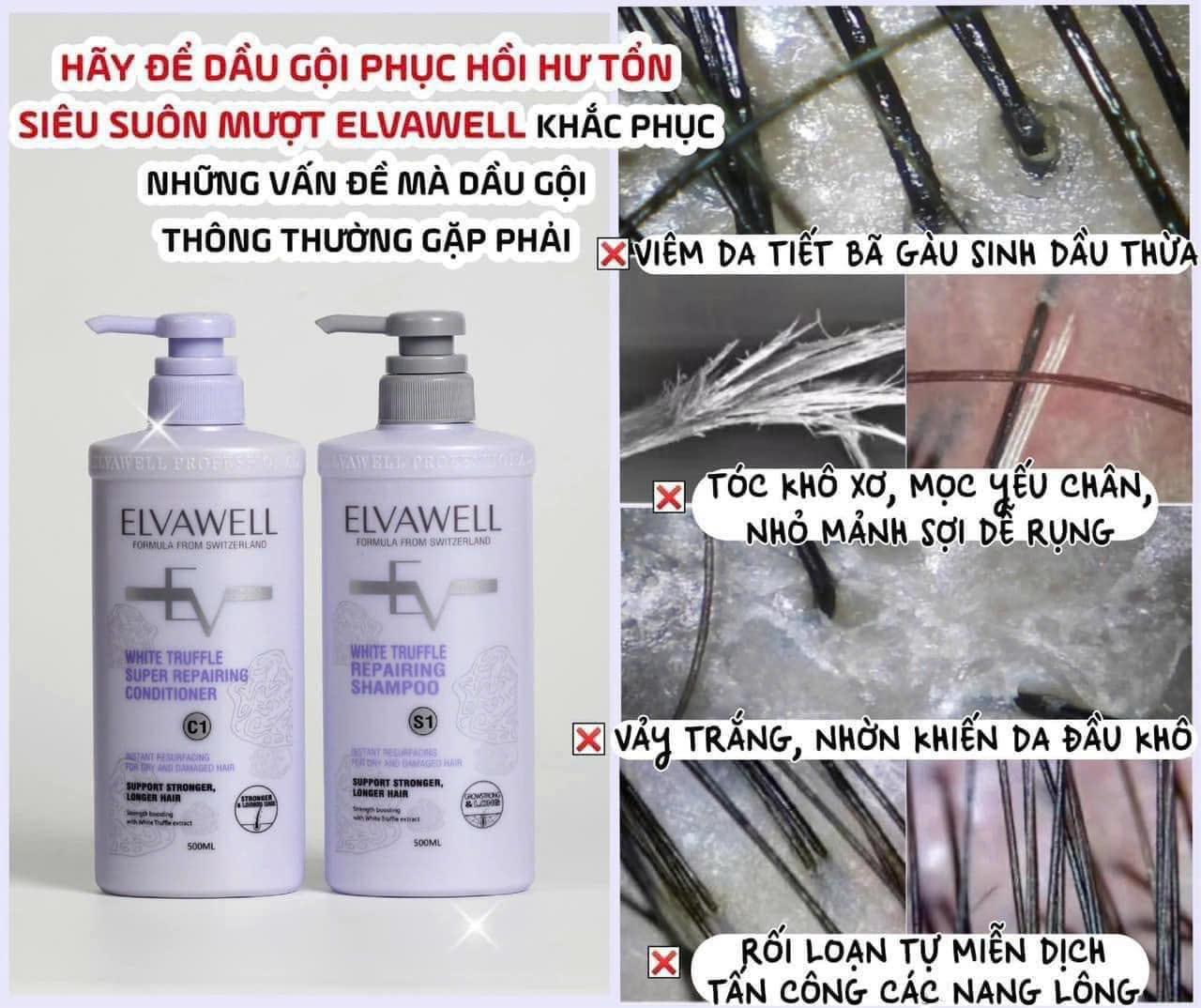 Dầu gội xả  Elvawell White Truffle Shampoo & Conditioner (Màu tím) phục hồi suôn mượt cho tóc khô xơ hư tổn 500ml/1000ml