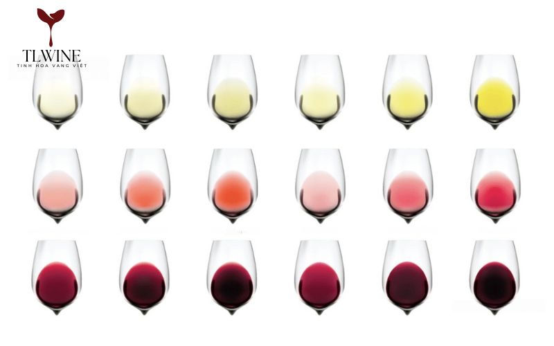 Bảng Màu Rượu Vang Và Những Ý Nghĩa Thú Vị Không Phải Ai Cũng Biết