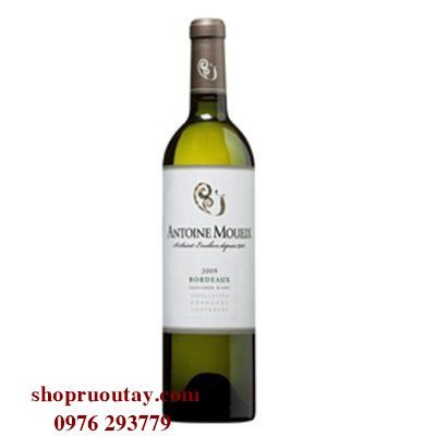 Rượu Vang Pháp Bordeaux Grand Theatre vừa ngon lại hợp túi tiền