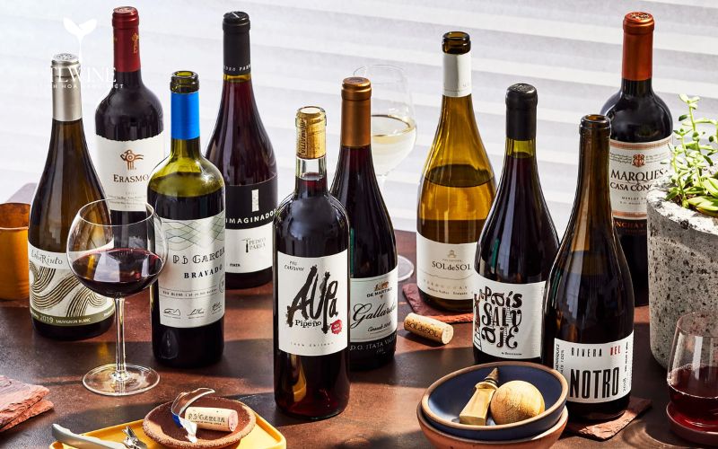 Tổng Hợp Các Loại Rượu Vang Ngon Nhất Thế Giới