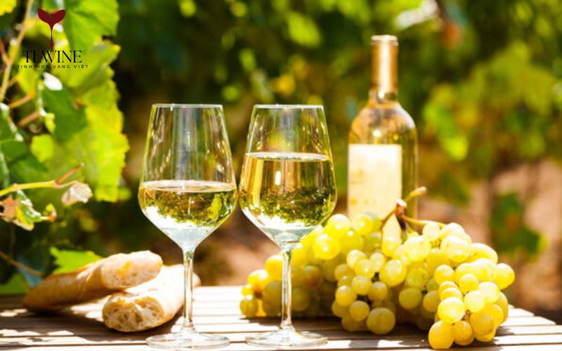 Đặc Điểm Của Rượu Vang Trắng Và Công Dụng Trong Sức Khỏe