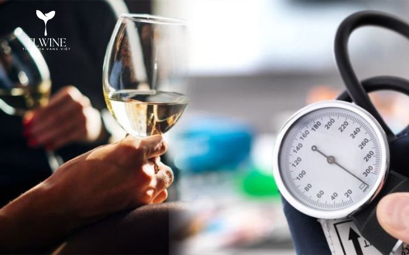 Bật Mí Lợi Ích Của Việc Uống Rượu Vang Đỏ Đối Với Sức Khỏe