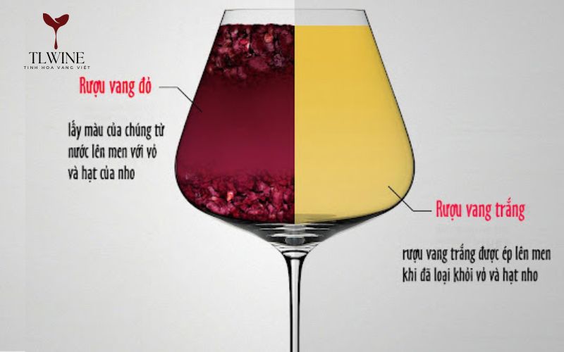 Sự Khác Biệt Giữa Rượu Vang Đỏ và Rượu Vang Trắng