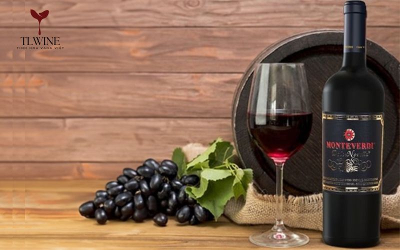 Top 9+ Chai Rượu Vang Cho Người Mới Uống Rượu Vang