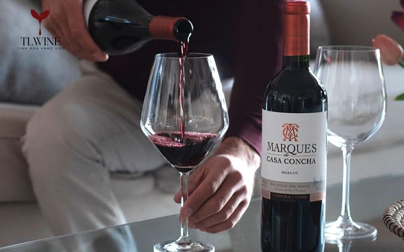 Rượu Vang Đỏ Chile Loại Nào Ngon? Top 10 chai ngon nổi tiếng
