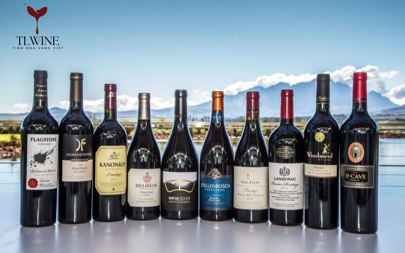 Tìm Hiểu Về Rượu Vang Nam Phi