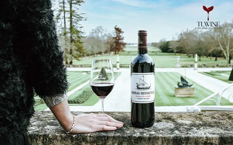 Top 10 Các Loại Rượu Vang Pháp Nổi Tiếng Nhất Hiện Nay