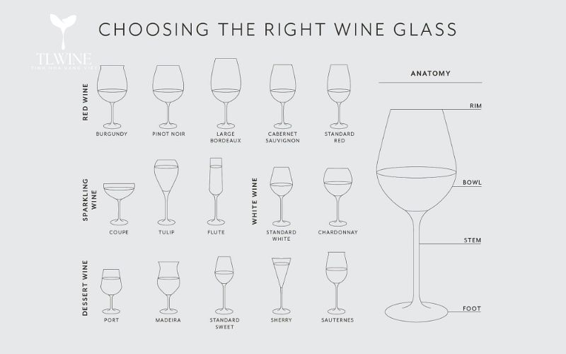 Cách chọn ly rượu vang chuẩn nhất: Bí quyết nâng tầm hương vị