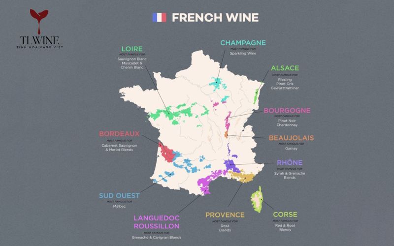 Tổng Hợp Vùng Sản Xuất Rượu Vang Pháp Nổi Tiếng