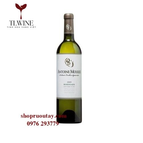 Rượu vang Bordeaux  Antoine Moueix