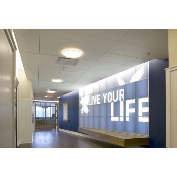 Trần nhôm Hook on