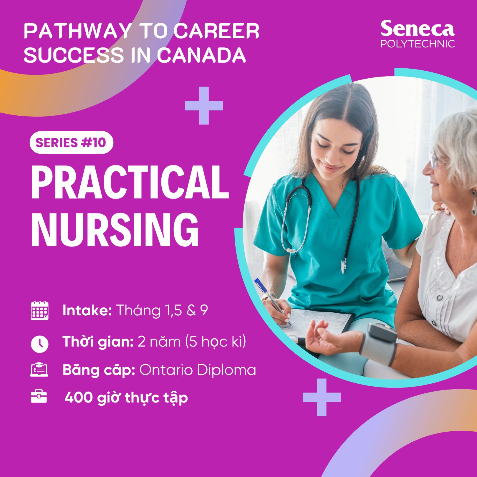 Series #10: Chào ngành Điều dưỡng Thực hành Practical Nursing tại Seneca Polytechnic 2 năm