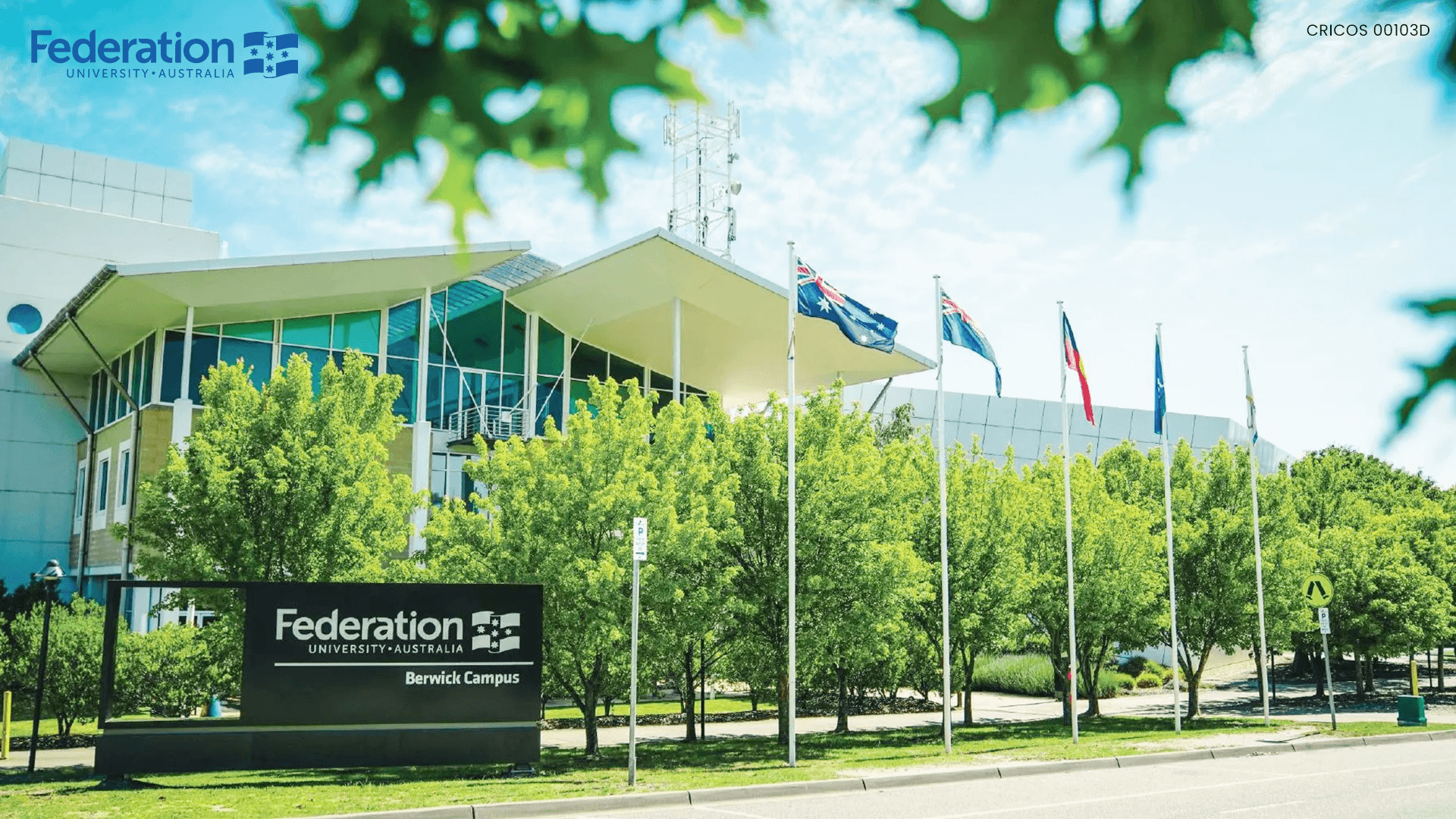 50% Học bổng - cơ hội du học vàng tại Federation University Australia năm 2026!