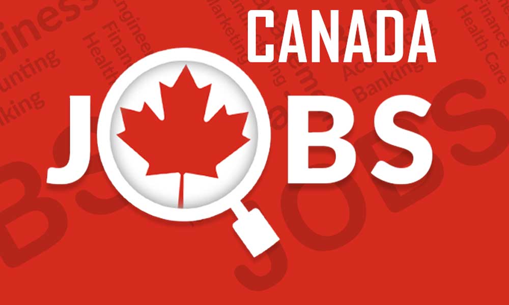 Top 5 ngành lương cao nhất 2025 dành cho du học sinh Canada