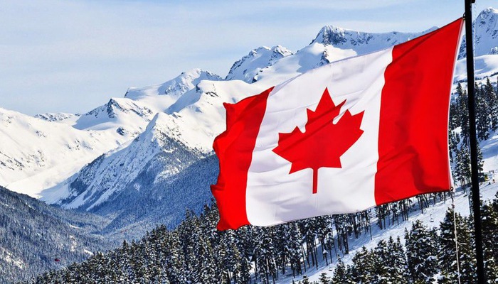 PGWP - Giấy phép lao động dành cho sinh viên quốc tế sau khi học xong tại Canada