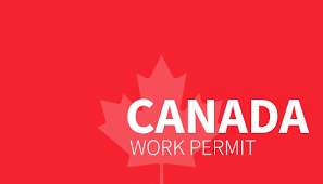 Các loại giấy phép làm việc (work permit) cho du học sinh tại Canada