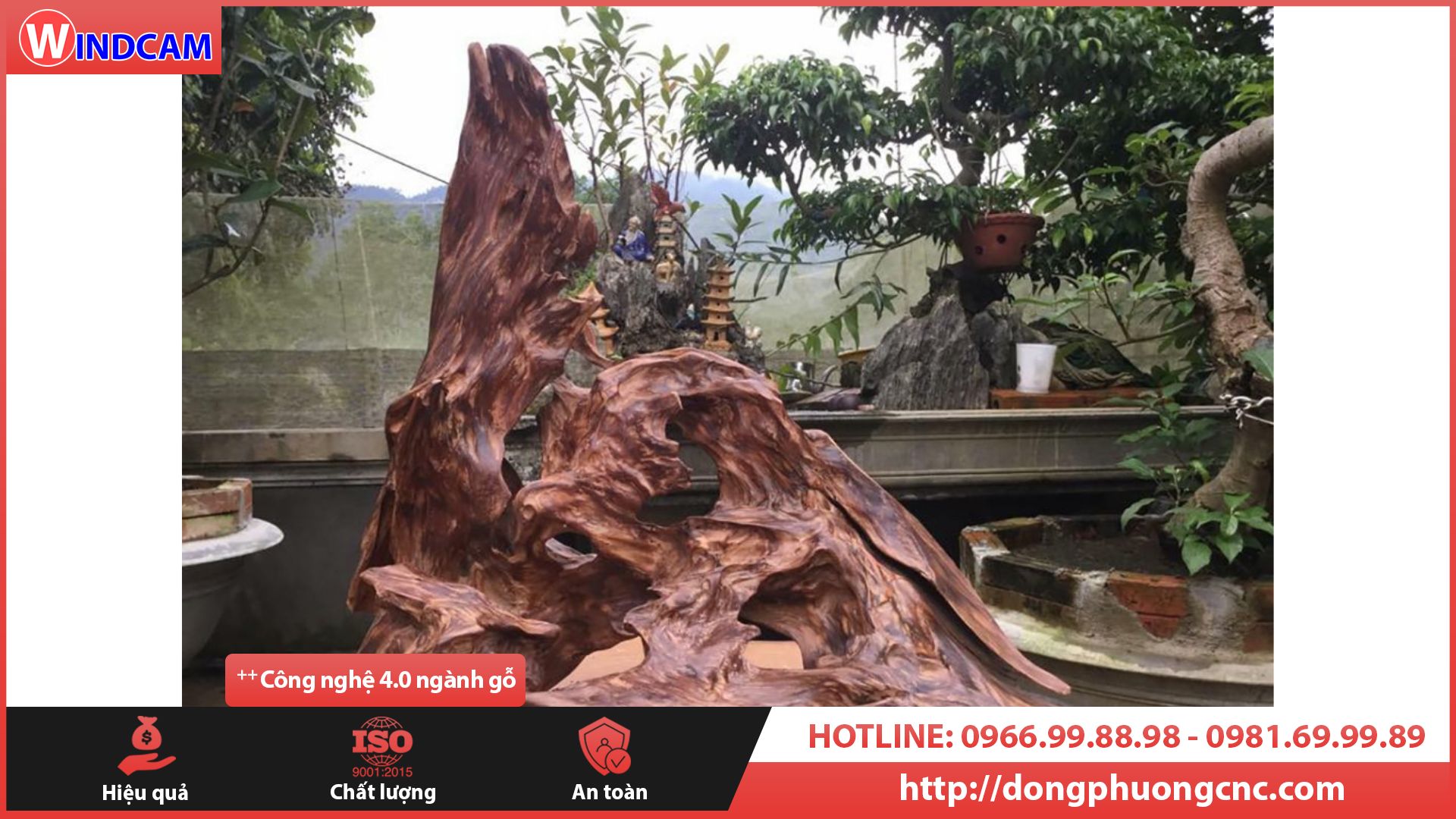 Tìm hiểu các đặc điểm của gỗ Ngọc Am