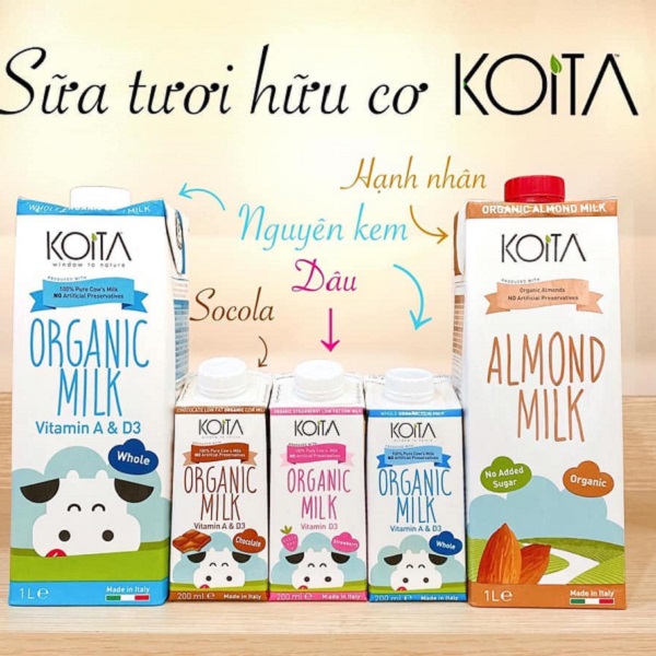 Koita – người bạn đồng hành của mọi gia đình cho mùa du lịch Koita – người bạn đồng hành của mọi gia đình cho mùa du lịch