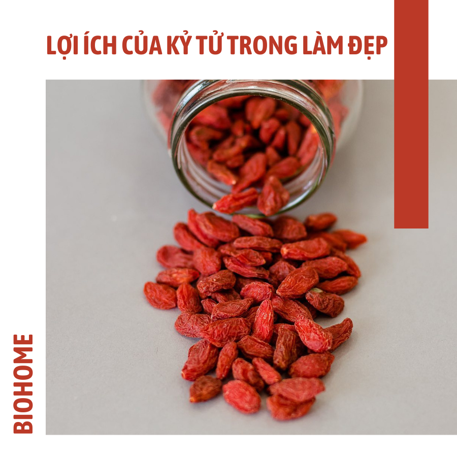 LỢI ÍCH CỦA KỶ TỬ TRONG LÀM ĐẸP