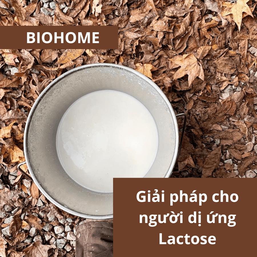 GIẢI PHÁP CHO NGƯỜI DỊ ỨNG LACTOSE