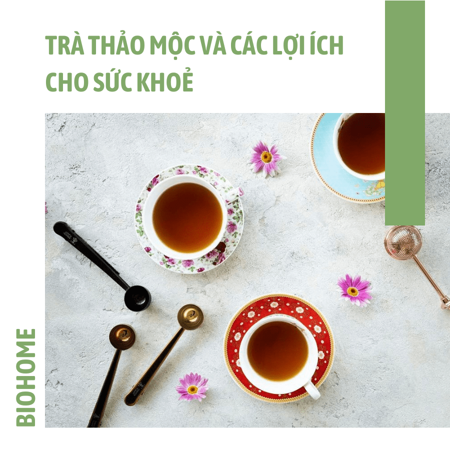 TRÀ THẢO MỘC VÀ CÁC LỢI ÍCH CHO SỨC KHOẺ