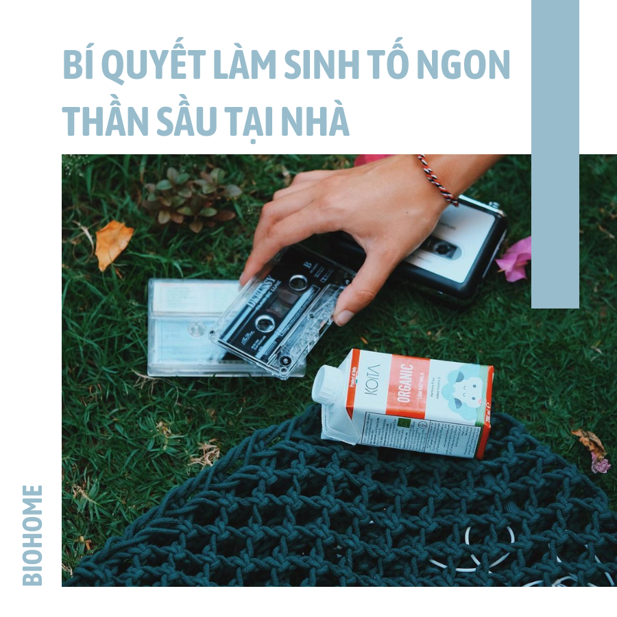BÍ QUYẾT LÀM SINH TỐ NGON THẦN SẦU TẠI NHÀ BÍ QUYẾT LÀM SINH TỐ NGON THẦN SẦU TẠI NHÀ