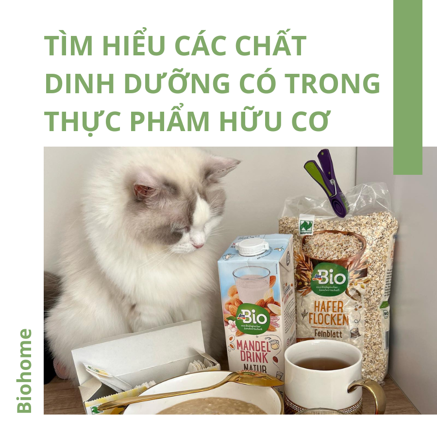 Tìm Hiểu Các Chất Dinh Dưỡng Có Trong Thực Phẩm Hữu Cơ Tìm Hiểu Các Chất Dinh Dưỡng Có Trong Thực Phẩm Hữu Cơ