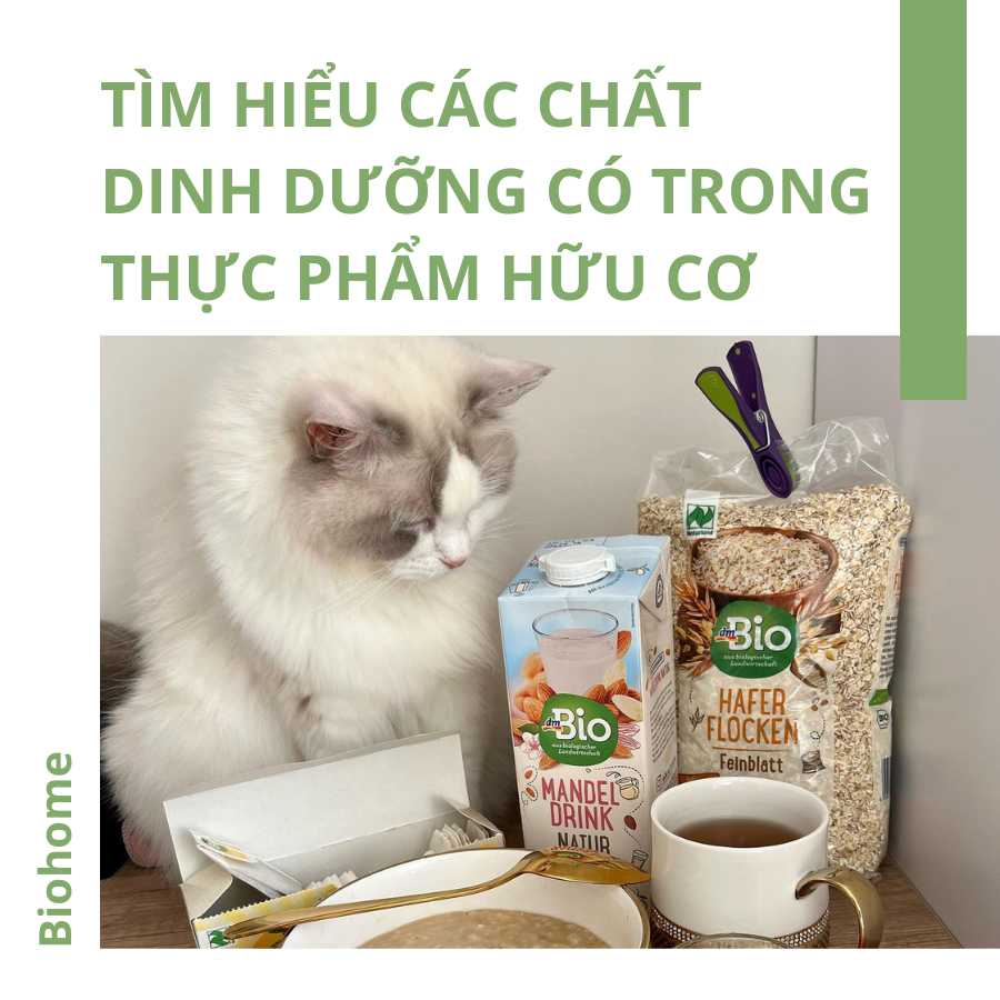 Tìm Hiểu Các Chất Dinh Dưỡng Có Trong Thực Phẩm Hữu Cơ