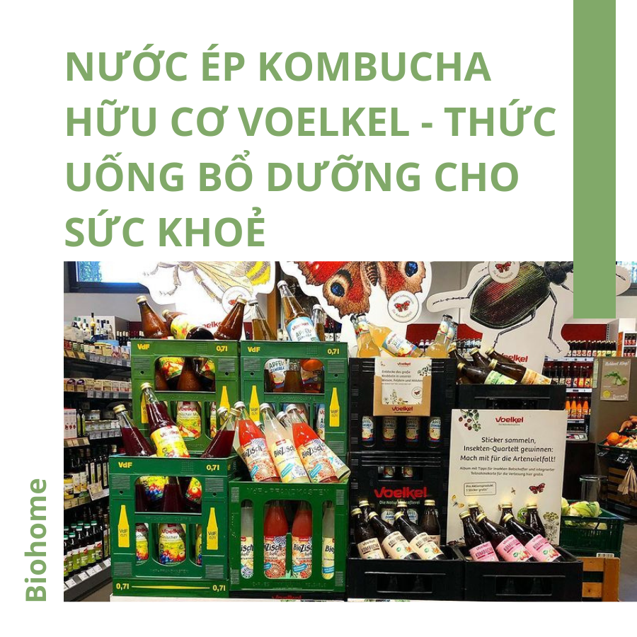 Nước ép hữu cơ Voelkel - Thức uống bổ dưỡng cho sức khỏe