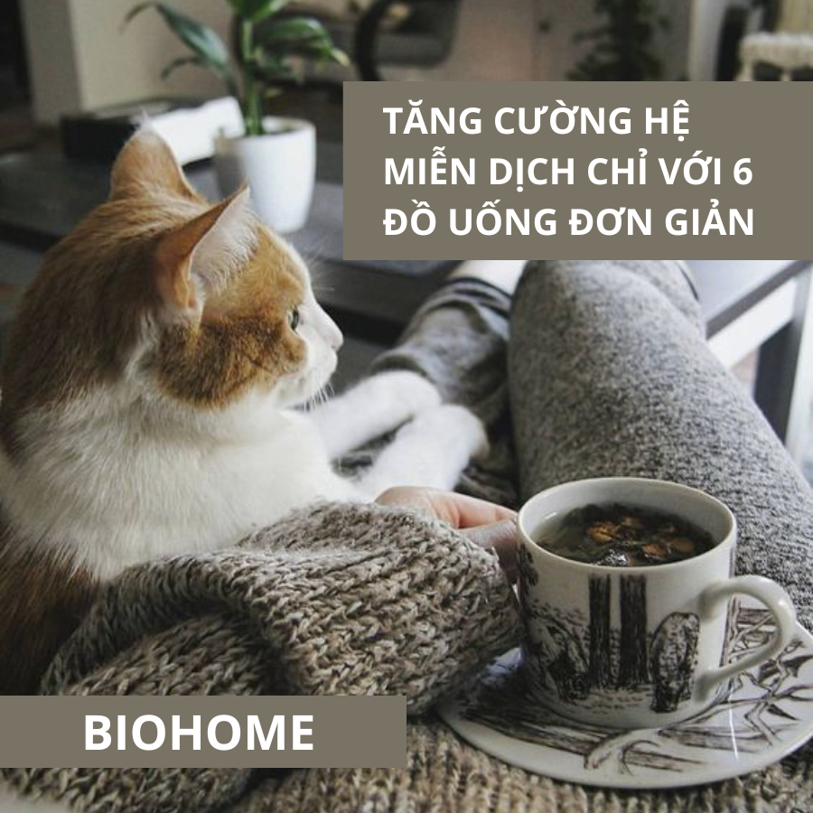 TĂNG CƯỜNG HỆ MIỄN DỊCH CHỈ VỚI 6 ĐỒ UỐNG ĐƠN GIẢN TĂNG CƯỜNG HỆ MIỄN DỊCH CHỈ VỚI 6 ĐỒ UỐNG ĐƠN GIẢN